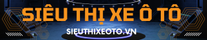 Sieuthixeoto.vn